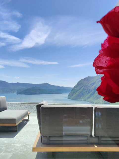Bright red flowers in foreground with panoramic view of Lake Iseo from a serene terrace